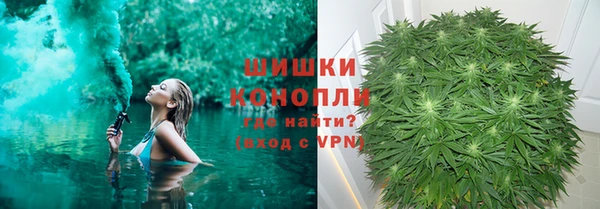 ПСИЛОЦИБИНОВЫЕ ГРИБЫ Липки