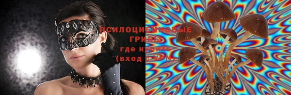 ПСИЛОЦИБИНОВЫЕ ГРИБЫ Липки